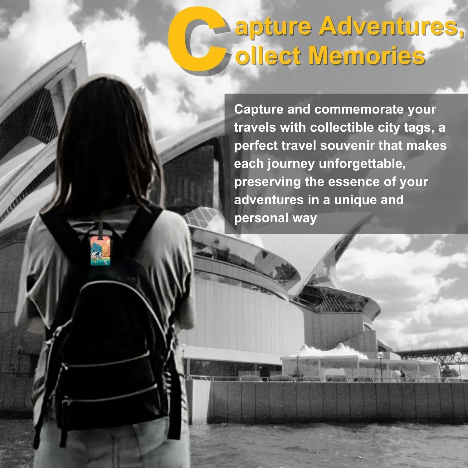 Smart Bag Security Tag - Sydney [Pack 2]